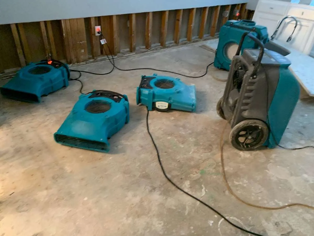 Water Damage Restoration services in Fort Meade, FL